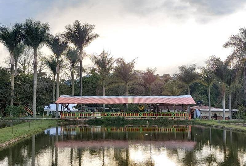 loslagos-lago-y-barbacoa Lagos y Barbacoa en el Restaurante Finca Los Lagos