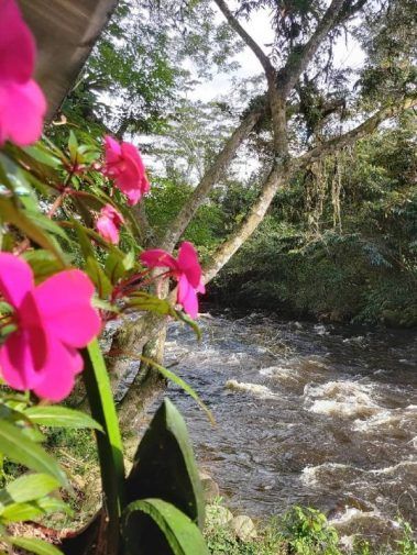 Río y flores en el Restaurante Finca Los Lagos