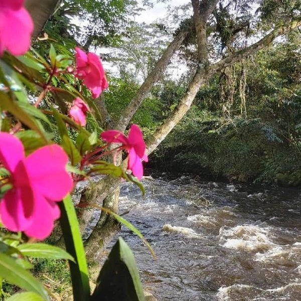 Río y flores en el Restaurante Finca Los Lagos