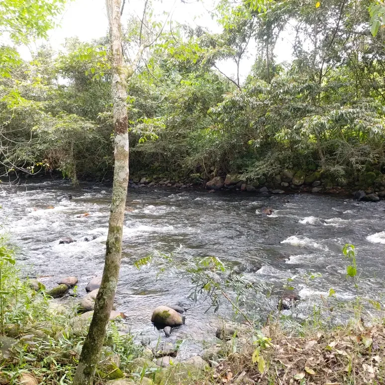 el rio ubaza en el restaurante campestre Finca Los Lagos en Togui Boyaca